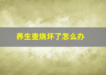 养生壶烧坏了怎么办 