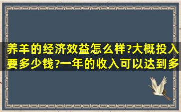 养羊的经济效益怎么样?大概投入要多少钱?一年的收入可以达到多少?