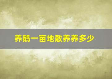 养鹅一亩地散养养多少