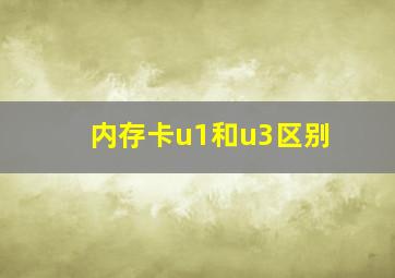 内存卡u1和u3区别