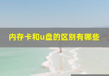 内存卡和u盘的区别有哪些