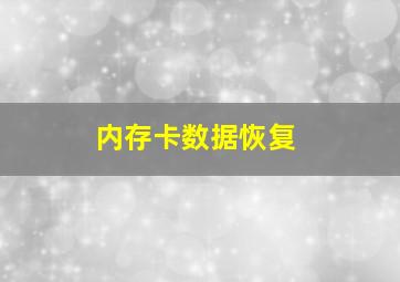 内存卡数据恢复