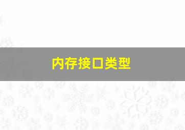 内存接口类型