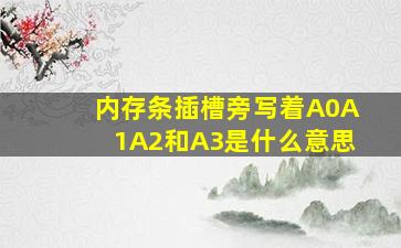 内存条插槽旁写着A0、A1、A2和A3是什么意思