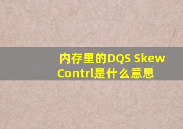 内存里的DQS Skew Contrl是什么意思