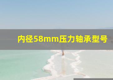 内径58mm压力轴承型号