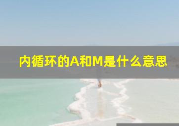 内循环的A和M是什么意思