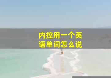 内控用一个英语单词怎么说