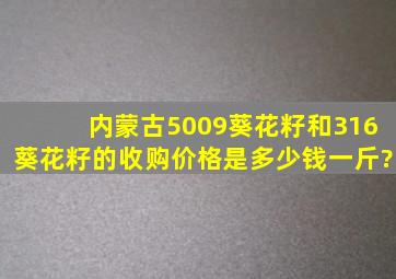 内蒙古5009葵花籽和316葵花籽的收购价格是多少钱一斤?
