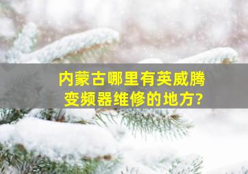 内蒙古哪里有英威腾变频器维修的地方?