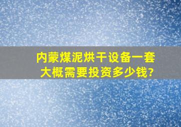 内蒙煤泥烘干设备一套大概需要投资多少钱?