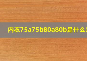 内衣75a75b80a80b是什么意思