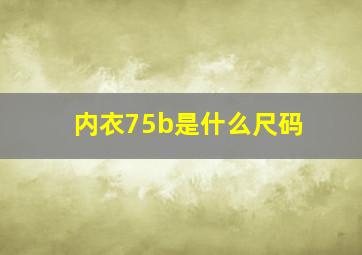 内衣75b是什么尺码