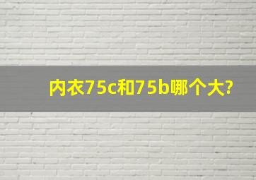 内衣75c和75b哪个大?