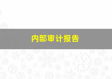 内部审计报告