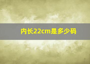 内长22cm是多少码(