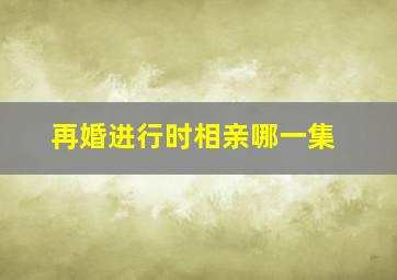 再婚进行时相亲哪一集