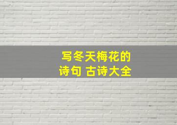 写冬天梅花的诗句 古诗大全