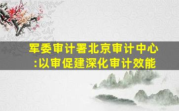 军委审计署北京审计中心:以审促建深化审计效能