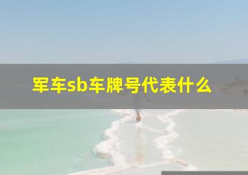 军车sb车牌号代表什么 