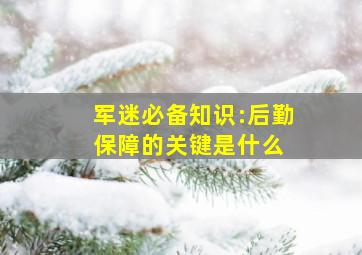 军迷必备知识:后勤保障的关键是什么 