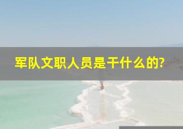 军队文职人员是干什么的?