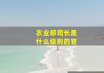 农业部司长是什么级别的官