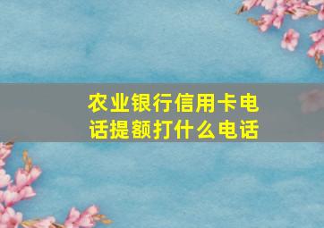 农业银行信用卡电话提额打什么电话