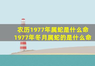 农历1977年属蛇是什么命,1977年冬月属蛇的是什么命