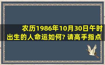 农历1986年10月30日午时出生的人命运如何? 请高手指点。