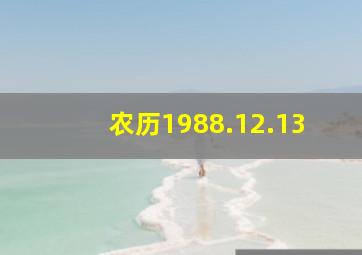 农历1988.12.13