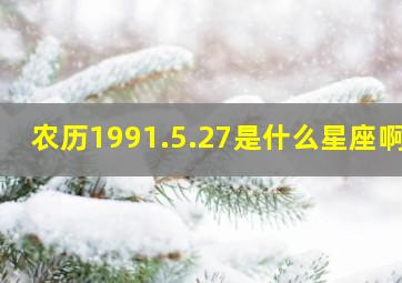 农历1991.5.27是什么星座啊?