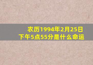 农历1994年2月25日下午5点55分是什么命运