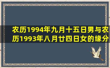 农历1994年九月十五日男与农历1993年八月廿四日女的缘分