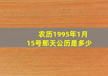 农历1995年1月15号那天公历是多少