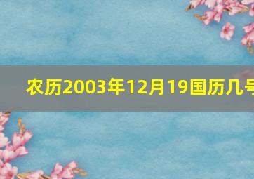 农历2003年12月19国历几号