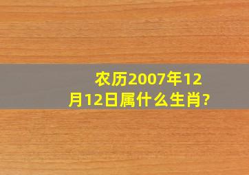 农历2007年12月12日属什么生肖?