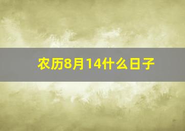 农历8月14什么日子(