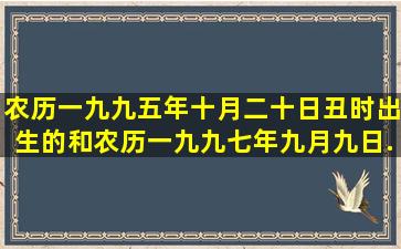 农历一九九五年十月二十日丑时出生的,和农历一九九七年九月九日...