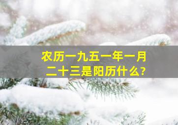 农历一九五一年一月二十三是阳历什么?