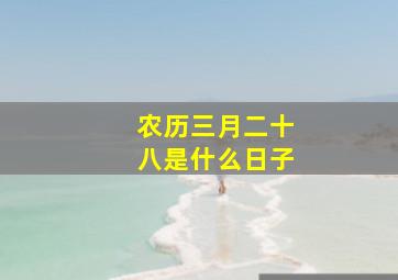 农历三月二十八是什么日子