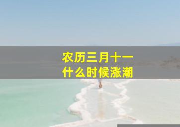 农历三月十一什么时候涨潮