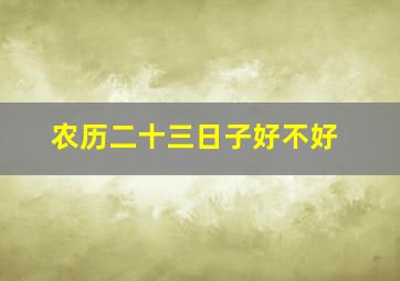 农历二十三日子好不好