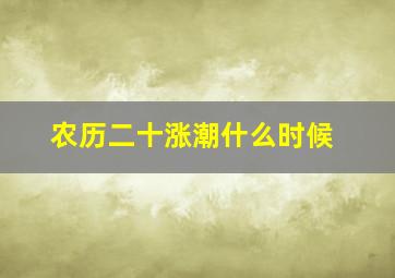 农历二十涨潮什么时候