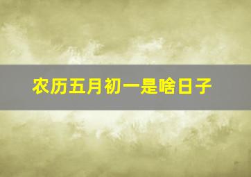 农历五月初一是啥日子