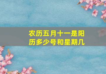 农历五月十一是阳历多少号和星期几