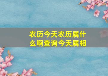 农历今天农历属什么啊查询今天属相