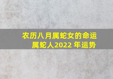 农历八月属蛇女的命运,属蛇人2022 年运势