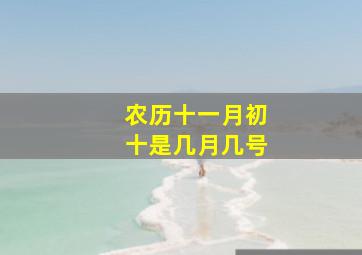 农历十一月初十是几月几号