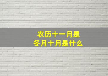 农历十一月是冬月十月是什么